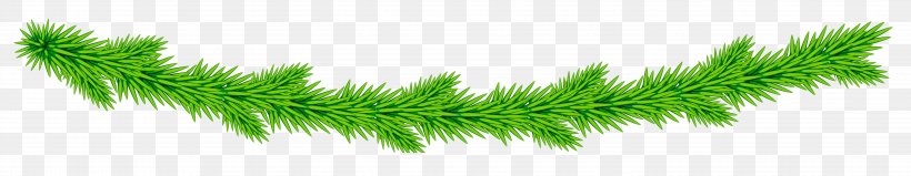 Grasses Plant Stem Line Font, PNG, 5856x1140px, Grasses, Family, Grass, Grass Family, Green Download Free