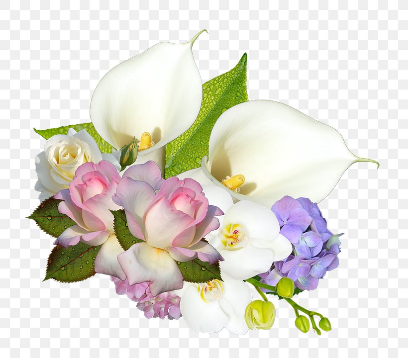 Paper Printing Zazzle Clip Art, PNG, 720x720px, Paper, Aged Care, Artificial Flower, Business Cards, Cut Flowers Download Free