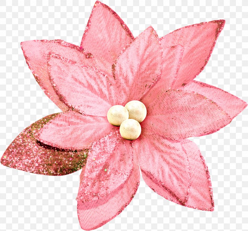 Pink Christmas Eve Festival Flower, PNG, 1515x1415px, Pink, Blue, Christmas, Christmas Eve, Color Download Free
