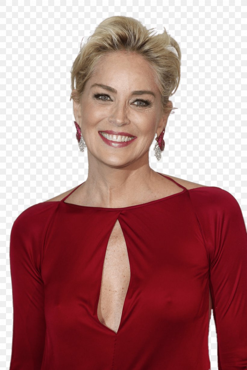 Sharon Stone Basic Instinct Celebrity, PNG, 2134x3200px, Watercolor, Cartoon, Flower, Frame, Heart Download Free