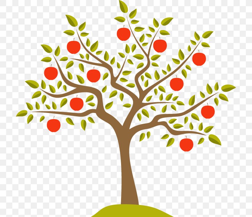 Vector Graphics Apple Illustration Drawing Fruit Tree, PNG, 716x707px, Apple, Art, Artwork, Branch, Drawing Download Free