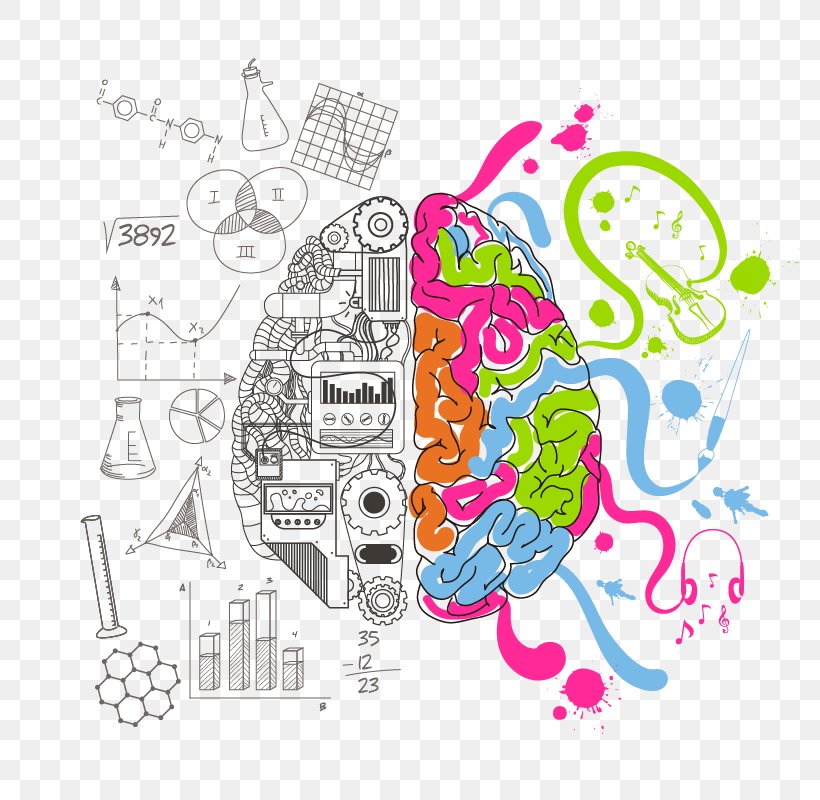 Creativity Cerebral Hemisphere Management Organization Mind, PNG, 800x800px, Watercolor, Cartoon, Flower, Frame, Heart Download Free