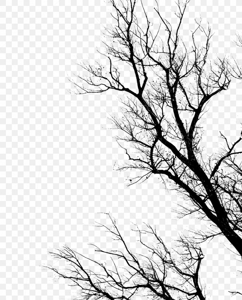 Dead By Daylight YouTube Theme, PNG, 848x1050px, Dead By Daylight, Black And White, Branch, Death, Leaf Download Free
