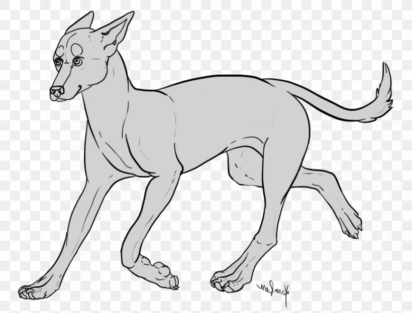 Dog Breed Macropodidae Line Art Paw, PNG, 864x658px, Dog Breed, Artwork, Black And White, Breed, Carnivoran Download Free