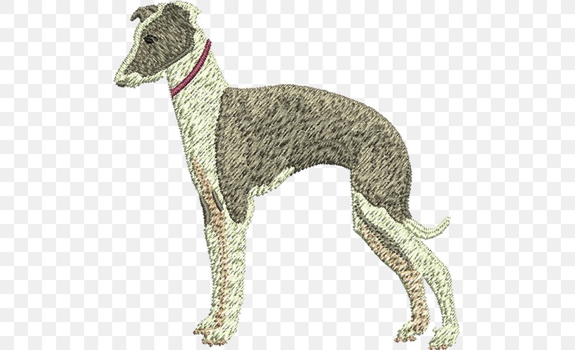 Spanish Greyhound Italian Greyhound Whippet Sloughi, PNG, 500x500px, Spanish Greyhound, American Staghound, Borzoi, Carnivoran, Dog Download Free