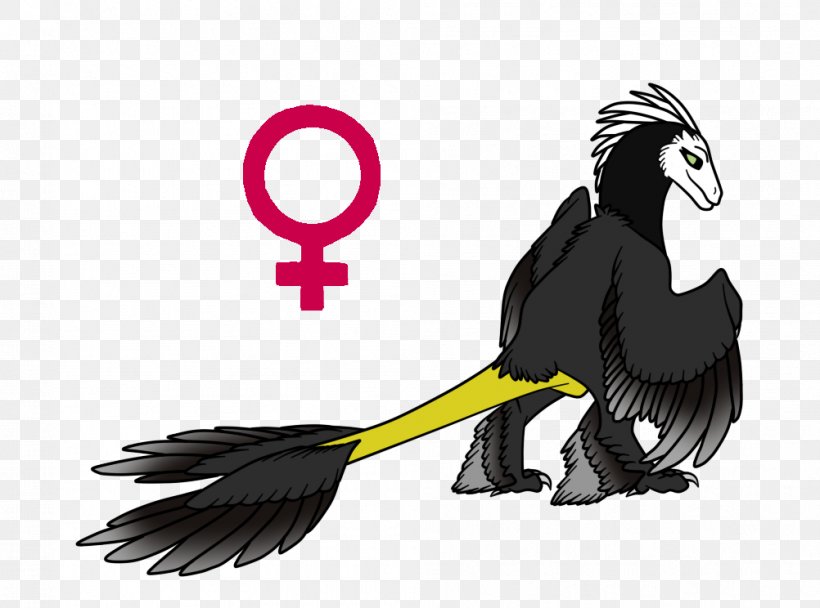 Beak Bird Microraptor Artist, PNG, 1002x744px, Beak, Art, Artist, Bird, Bird Of Prey Download Free