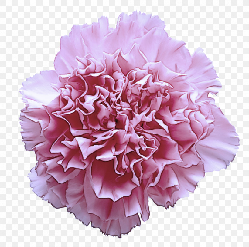 Flower Bouquet, PNG, 1000x996px, Cut Flowers, Artificial Flower, Carnation, Floral Design, Floristry Download Free