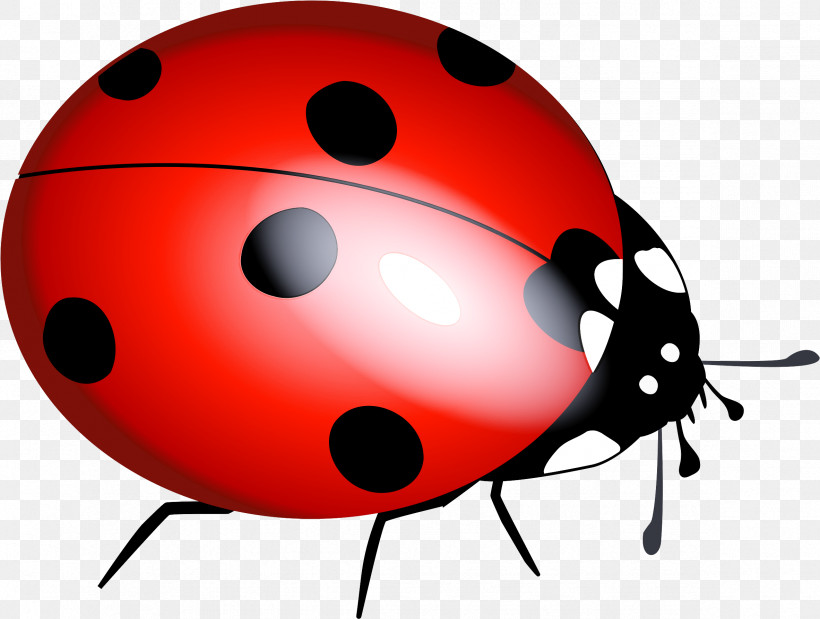 Ladybug, PNG, 2365x1787px, Ladybug, Beetle, Insect, Leaf Beetle Download Free