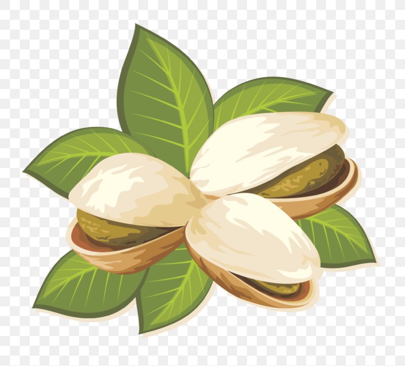 Pistachio Ice Cream Pistachio Ice Cream Brittle Nut, PNG, 741x741px, Pistachio, Almond, Brittle, Cartoon, Hazelnut Download Free