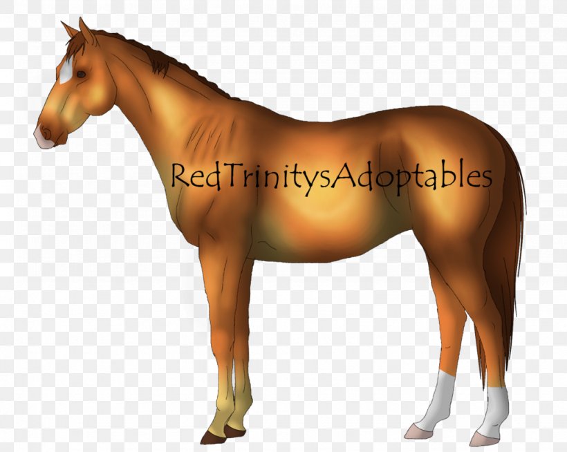 Pony Foal Mustang Danish Warmblood Stallion, PNG, 1024x817px, Pony, Breed, Bridle, Colt, Danish Warmblood Download Free