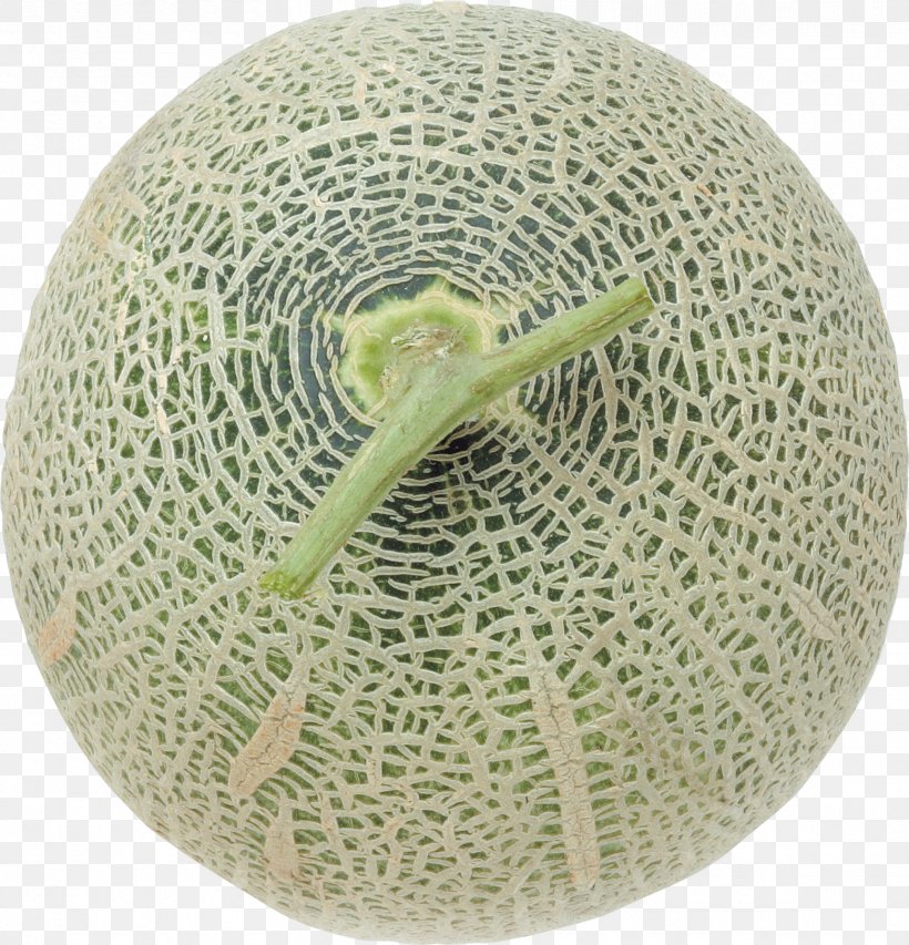 Cantaloupe Honeydew Melon Fruit Eating, PNG, 1717x1787px, Cantaloupe, Auglis, Cucumber Gourd And Melon Family, Eating, Food Download Free