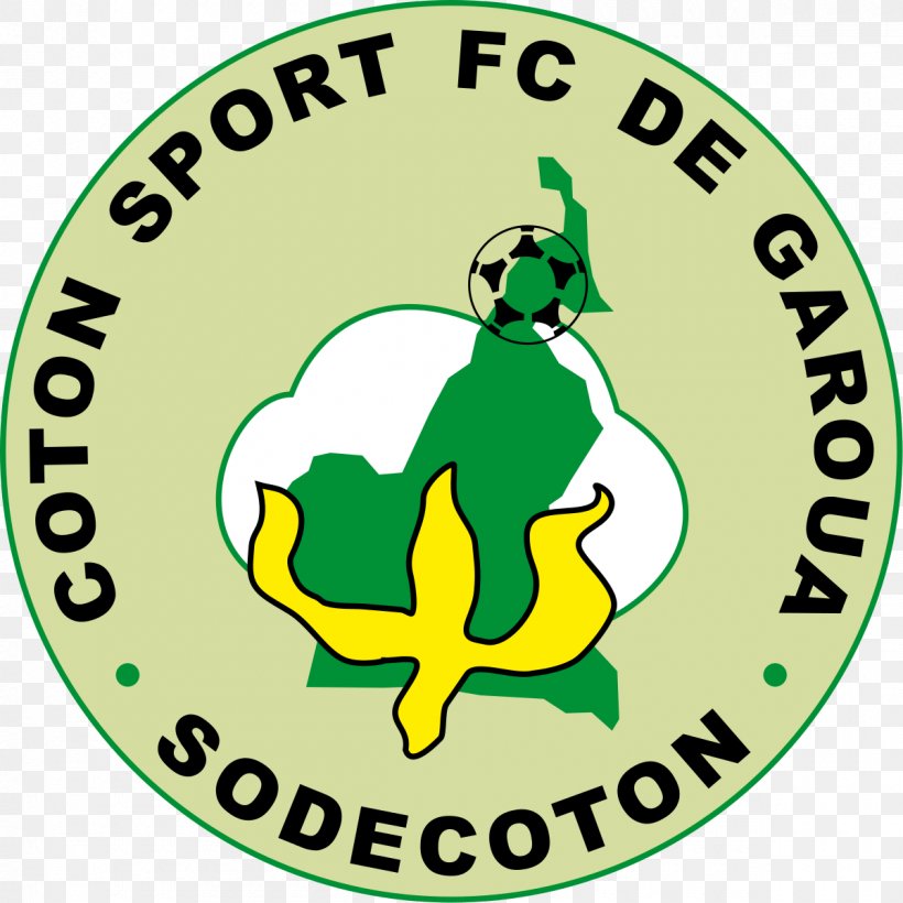 Coton Sport FC De Garoua Elite One CAF Champions League New Star De Douala Aigle Royal De La Menoua, PNG, 1200x1200px, Coton Sport Fc De Garoua, Al Ahly Sc, Area, Artwork, Brand Download Free