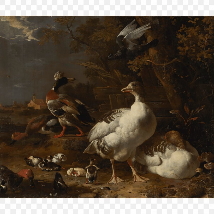 Geese And Ducks Goose Still Life The Floating Feather, PNG, 1024x1024px, Duck, Beak, Bird, Canvas, Ducks Geese And Swans Download Free