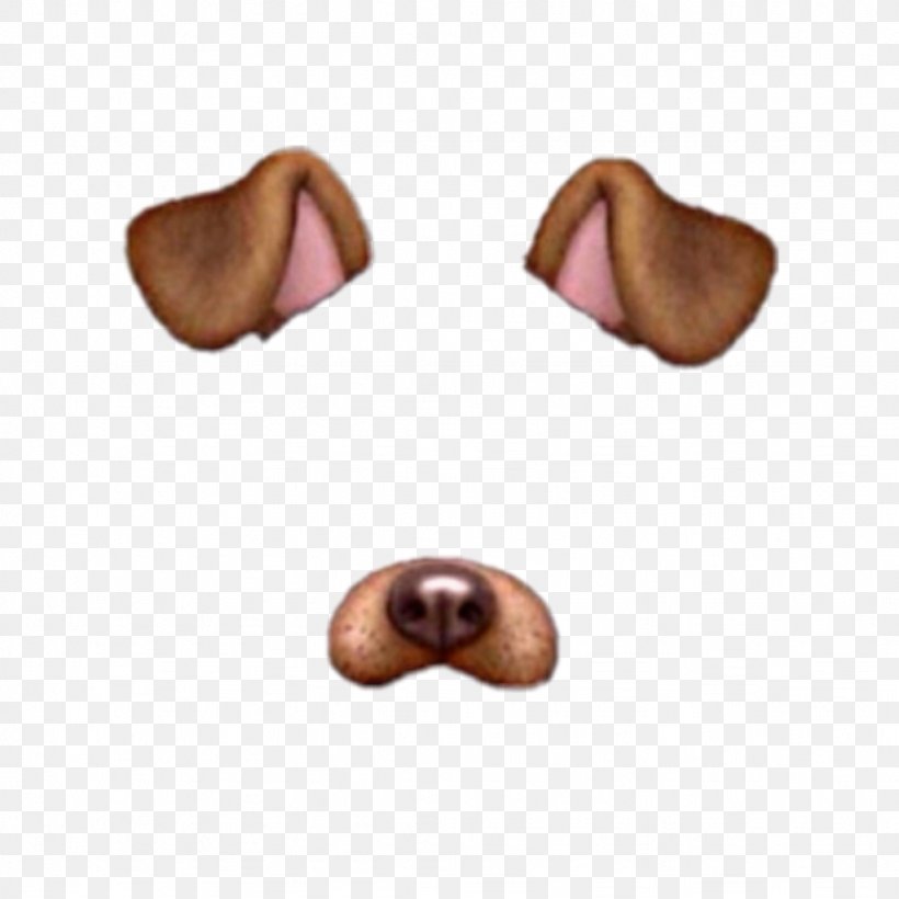 Puppy Snapchat Dalmatian Dog Dancing Hot Dog, PNG, 1024x1024px, Puppy, Dalmatian Dog, Dancing Hot Dog, Dog, Dog Like Mammal Download Free