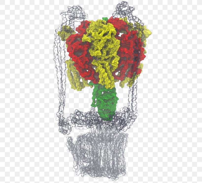 Western Illinois University Floral Design University Of Illinois At Urbana–Champaign Thermodynamic Free Energy, PNG, 428x746px, Western Illinois University, Art, Atpase, Chemical Reaction, Cut Flowers Download Free