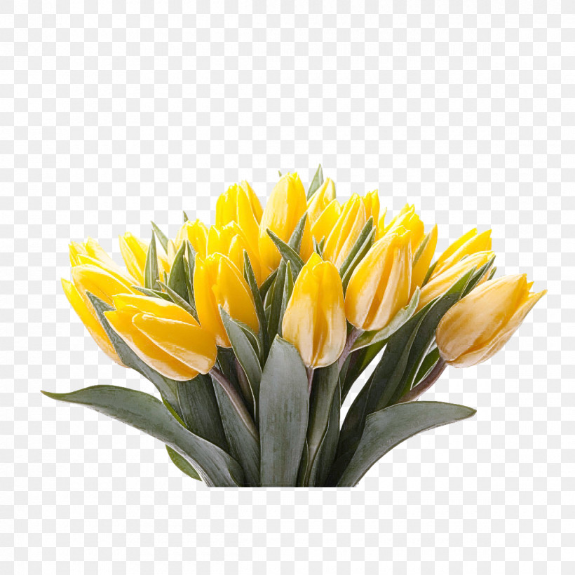 Artificial Flower, PNG, 1200x1200px, Flower, Artificial Flower, Crocus, Cut Flowers, Houseplant Download Free