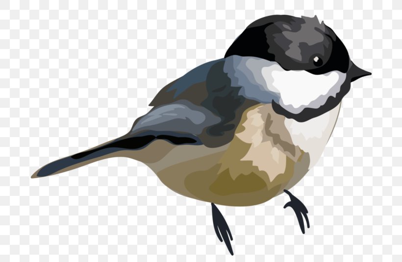 Bird Beak Watercolor Painting Clip Art, PNG, 700x535px, Bird, Animal, Beak, Chickadee, Drawing Download Free