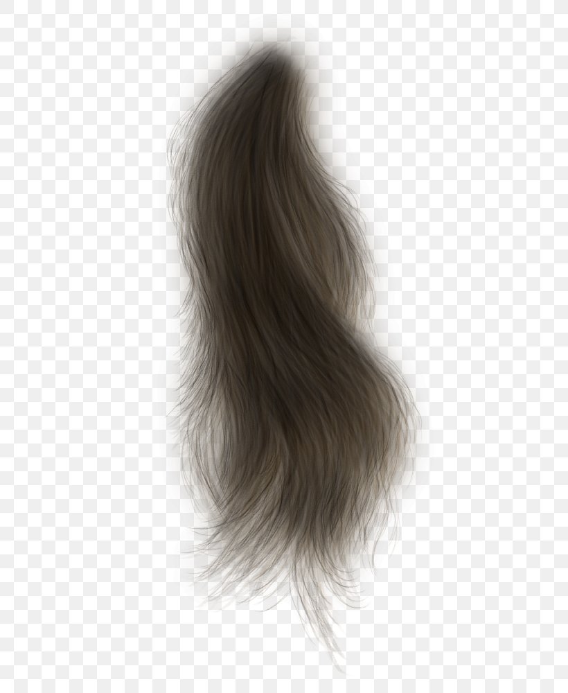 Black Hair Wig Long Hair Hairstyle, PNG, 492x1000px, Black Hair, Black And White, Blond, Brown Hair, Capelli Download Free
