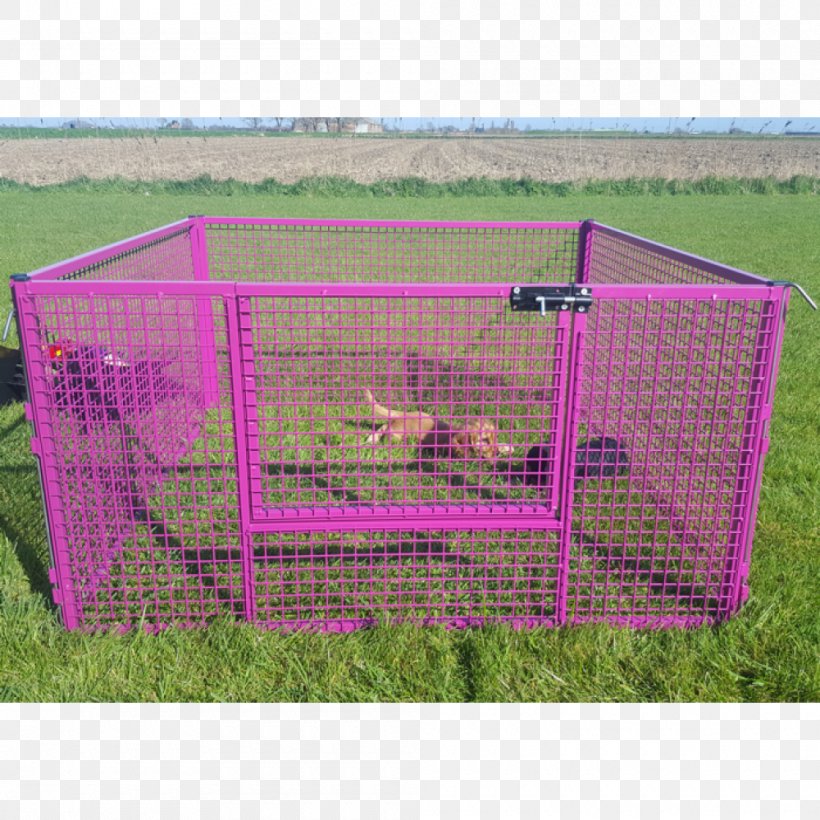 Cage Play Pens Pet Puppy, PNG, 1000x1000px, 4k Resolution, Cage, Color, Furry Fandom, Grass Download Free