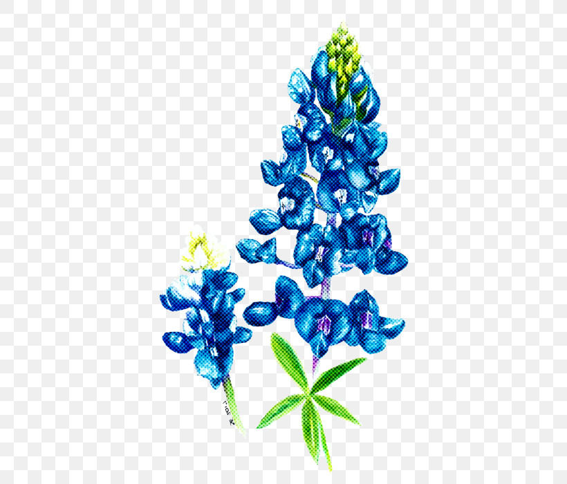 Bluebonnet Blue Flower Plant Texas Bluebonnet, PNG, 397x700px, Bluebonnet, Blue, Delphinium, Flower, Grape Hyacinth Download Free