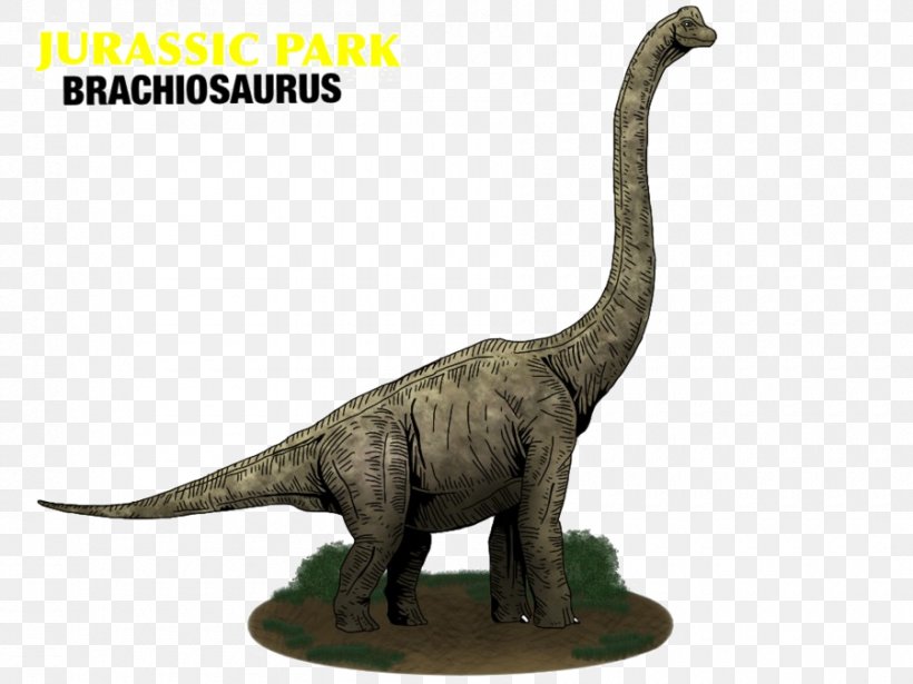 Brachiosaurus Jurassic World Evolution Jurassic Park Builder Apatosaurus, PNG, 900x675px, Brachiosaurus, Alan Grant, Animal Figure, Apatosaurus, Dinosaur Download Free