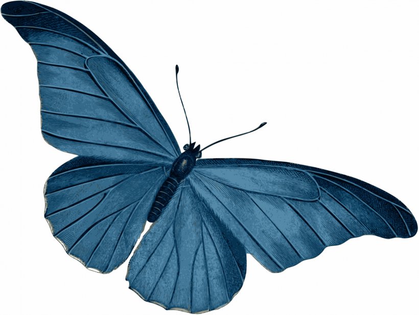 Butterfly Morpho Menelaus Blue Clip Art, PNG, 2400x1808px, Butterfly, Arthropod, Blue, Blue Butterfly, Bluegreen Download Free