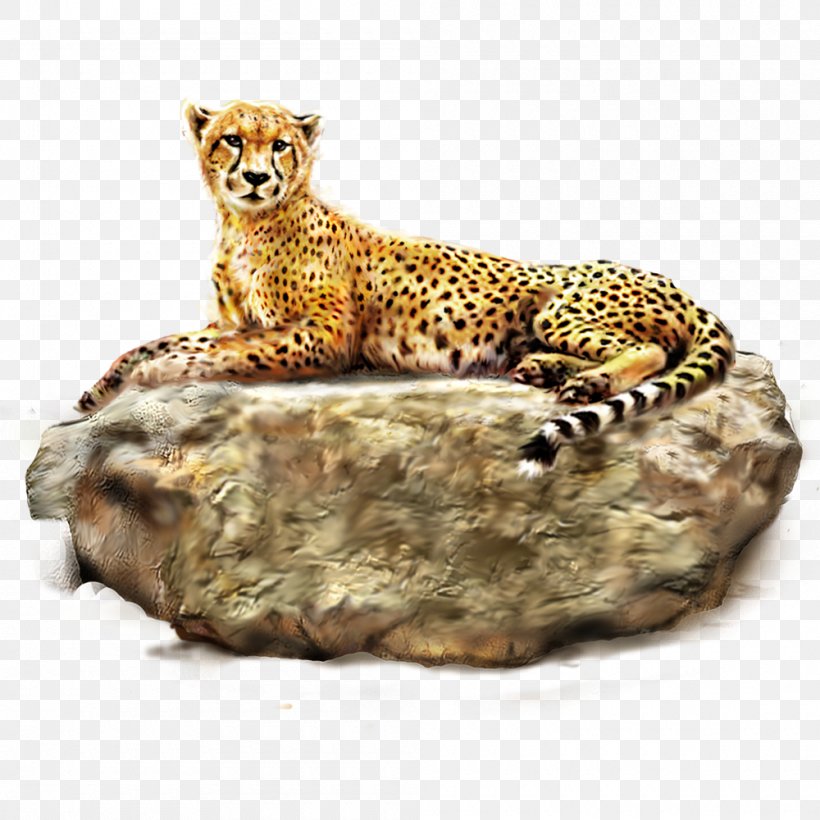 Cheetah Leopard Lion Tiger, PNG, 1000x1000px, 3d Computer Graphics, Cheetah, Animal, Big Cats, Carnivoran Download Free