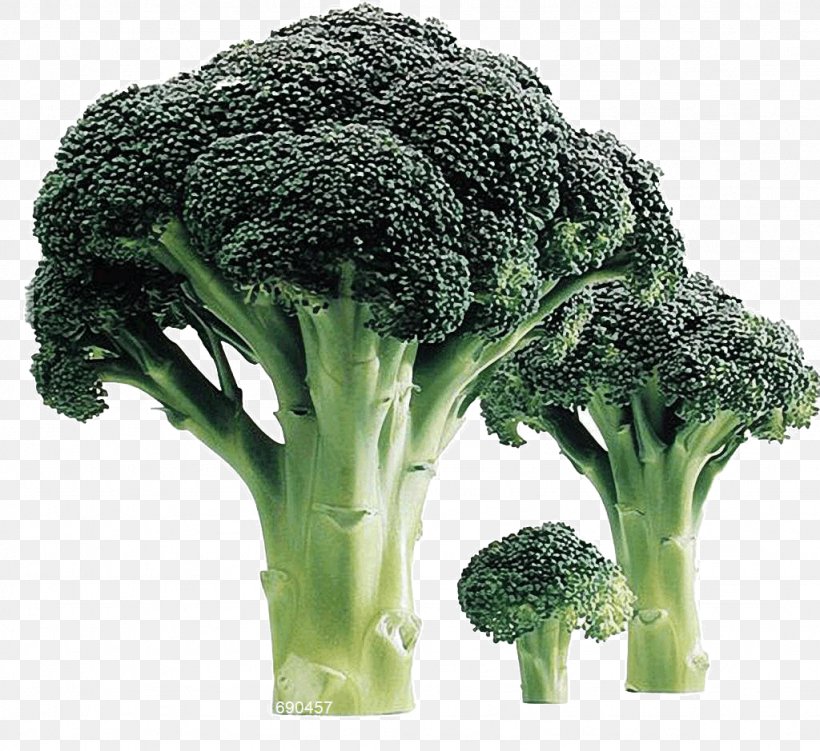 Fractal Vegetable Koch Snowflake Sierpinski Triangle Structure, PNG, 1024x939px, Fractal, Broccoli, Cabbage Family, Cauliflower, Flowerpot Download Free