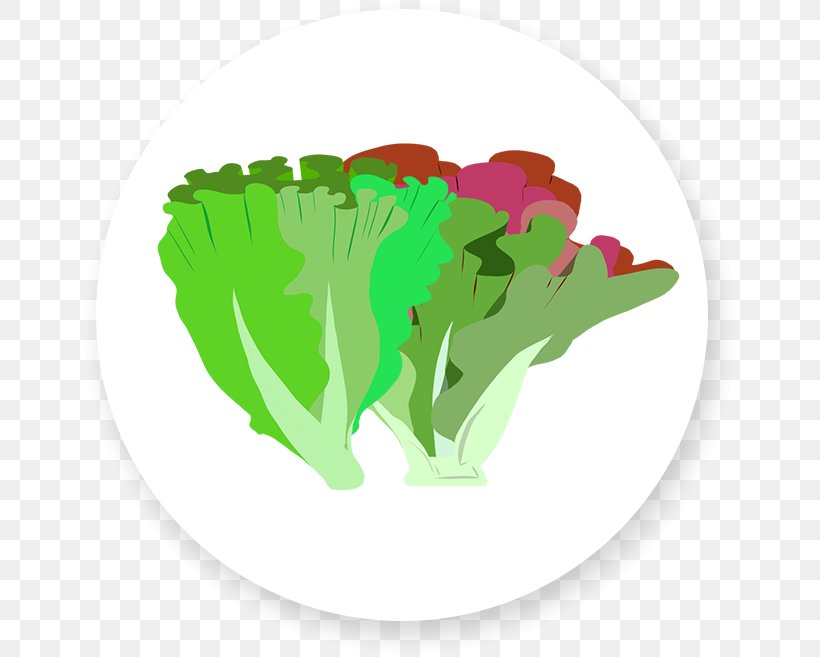 Mesclun Vinaigrette Vegetarian Cuisine Lettuce Leaf Vegetable, PNG, 657x657px, Mesclun, Endive, Food, Grass, Green Download Free