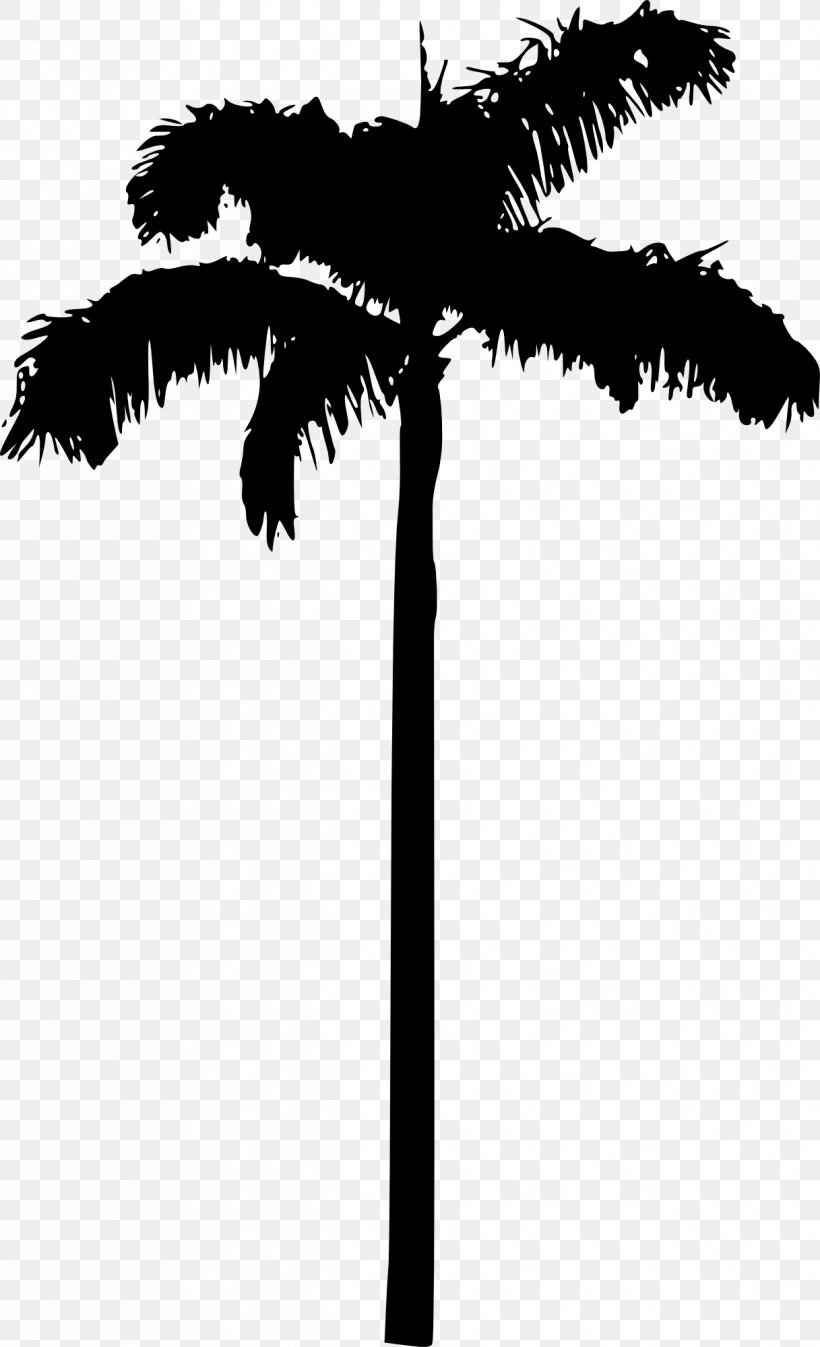 Arecaceae Tree Woody Plant Desktop Wallpaper, PNG, 1217x2000px, Arecaceae, Arecales, Asian Palmyra Palm, Black And White, Borassus Flabellifer Download Free