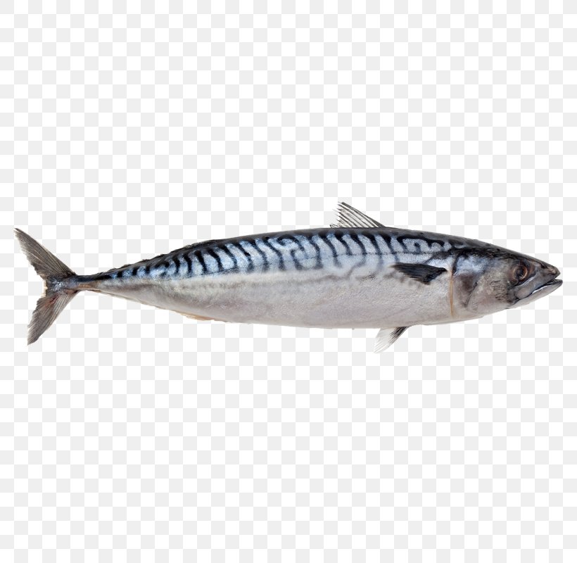 Atlantic Mackerel Fish Indian Mackerel Food, PNG, 800x800px, Mackerel, Anchovy, Atlantic Cod, Atlantic Herring, Atlantic Mackerel Download Free