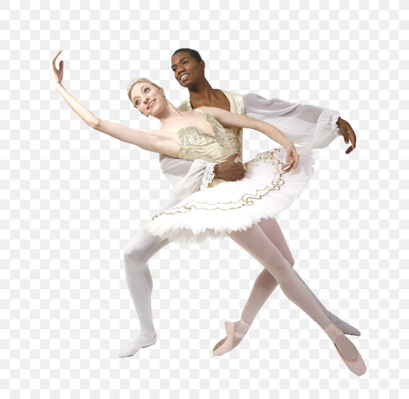 Ballet Dance Tutu Gift Betty Boop, PNG, 666x800px, Watercolor, Cartoon, Flower, Frame, Heart Download Free