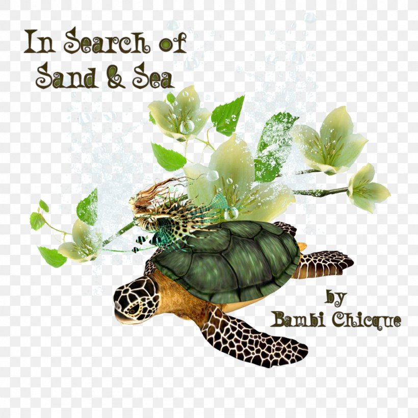 Box Turtles Tortoise Second Life Sand, PNG, 1024x1024px, Box Turtles, Box Turtle, Emydidae, Fauna, Legacies Download Free