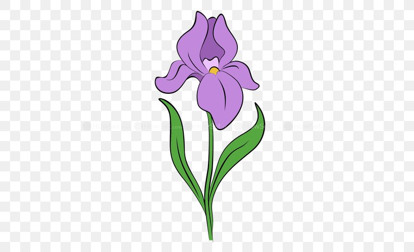 Drawing Iris Flower Data Set Iris Flower Data Set Clip Art, PNG, 500x500px, Drawing, Common Sunflower, Cut Flowers, Flora, Floral Design Download Free