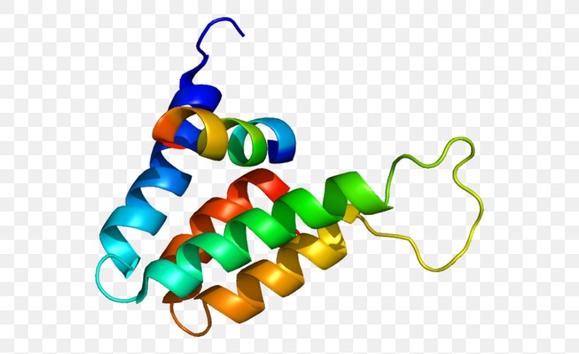 SIN3B Protein Gene HDAC1 IKZF1, PNG, 600x502px, Protein, Amphiphile, Artwork, Body Jewelry, Cell Download Free