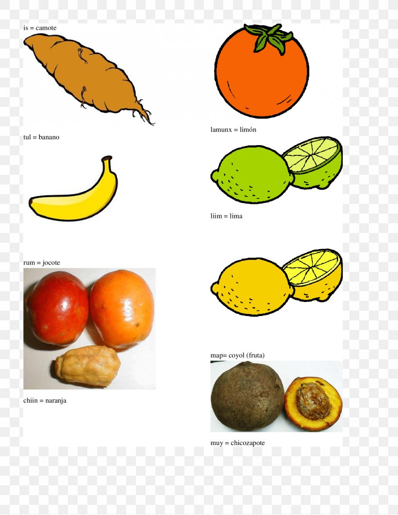 Tangerine Tangelo Vegetarian Cuisine Orange Q'eqchi' Language, PNG, 1700x2200px, Tangerine, Citrus, Food, Food Group, Fruit Download Free