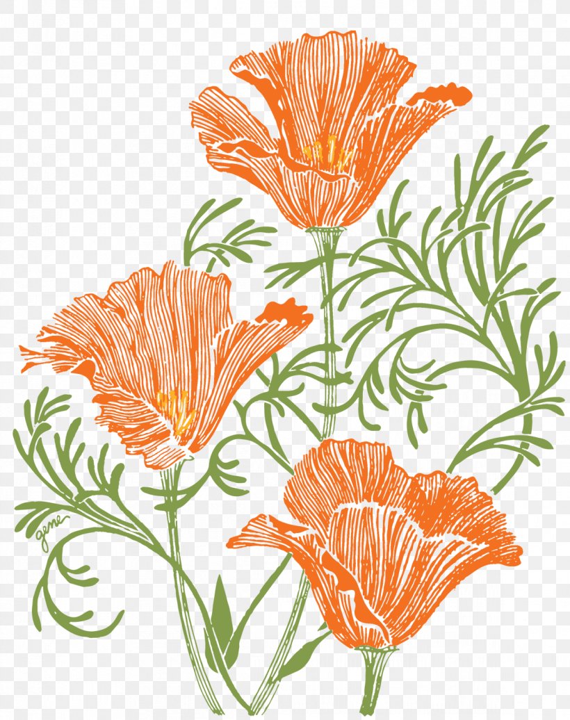 Theodore Payne Foundation 11th Annual Indian Film Festival Of Los Angeles Native Plant Garden Flower, PNG, 1161x1467px, Native Plant, Back Garden, Botanical Illustration, California Poppy, Cut Flowers Download Free