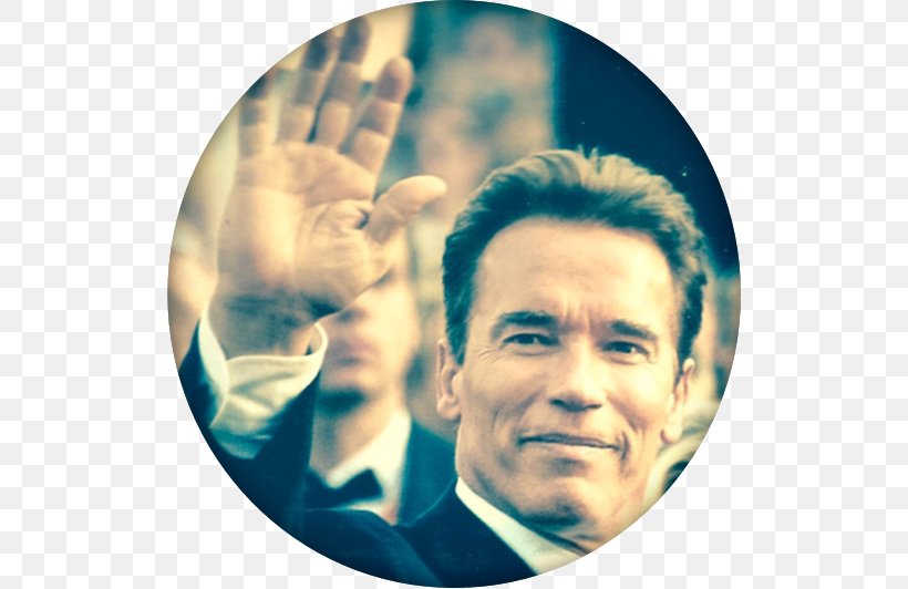 Arnold Schwarzenegger The Terminator Megapropodiphora Arnoldi Agent 23 Cyberdyne Systems, PNG, 518x532px, Arnold Schwarzenegger, Bodybuilder, Bodybuilding, Cyberdyne Systems, Dwayne Johnson Download Free