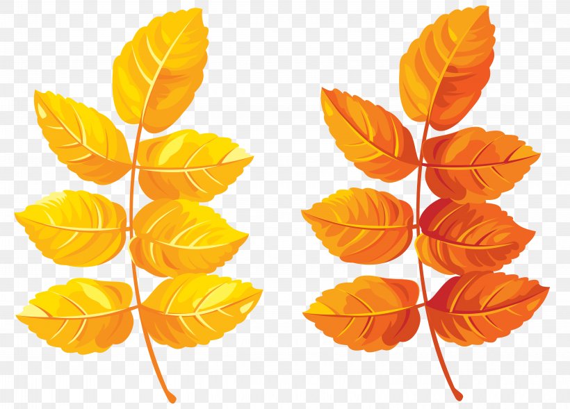 Autumn Leaf Color Clip Art, PNG, 6271x4508px, Leaf, Autumn, Autumn Leaf Color, Autumn Leaves, Branch Download Free