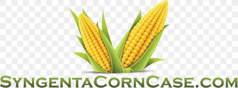 Corn On The Cob Corn Flakes Maize Sweet Corn Cornmeal, PNG, 1964x728px, Corn On The Cob, Animal Feed, Commodity, Corn Flakes, Corn Kernel Download Free