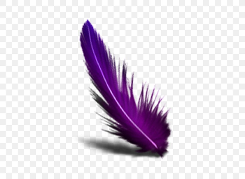 Feather Color Clip Art, PNG, 600x600px, Feather, Color, Purple, Quill, Transparency And Translucency Download Free