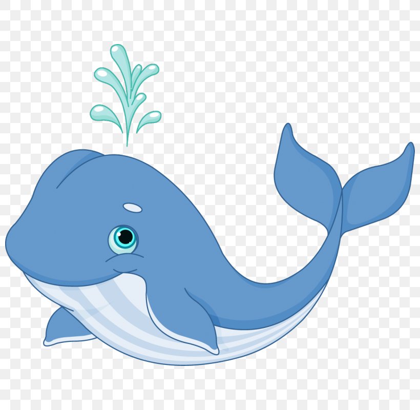 Royalty-free Whale Cartoon, PNG, 800x800px, Royaltyfree, Art, Blue Whale, Cartoon, Dolphin Download Free