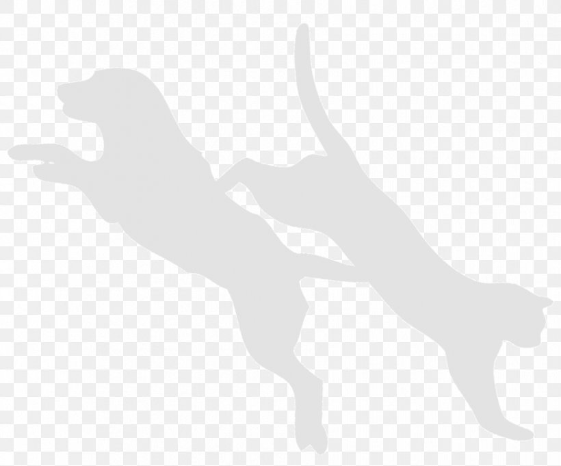Dog Cat Finger White Mammal, PNG, 901x749px, Dog, Arm, Black And White, Canidae, Carnivoran Download Free