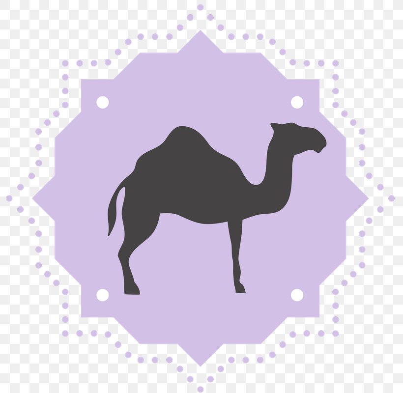 Dromedary Biblical Magi, PNG, 800x800px, Dromedary, Arabian Camel, Balthazar, Biblical Magi, Camel Download Free
