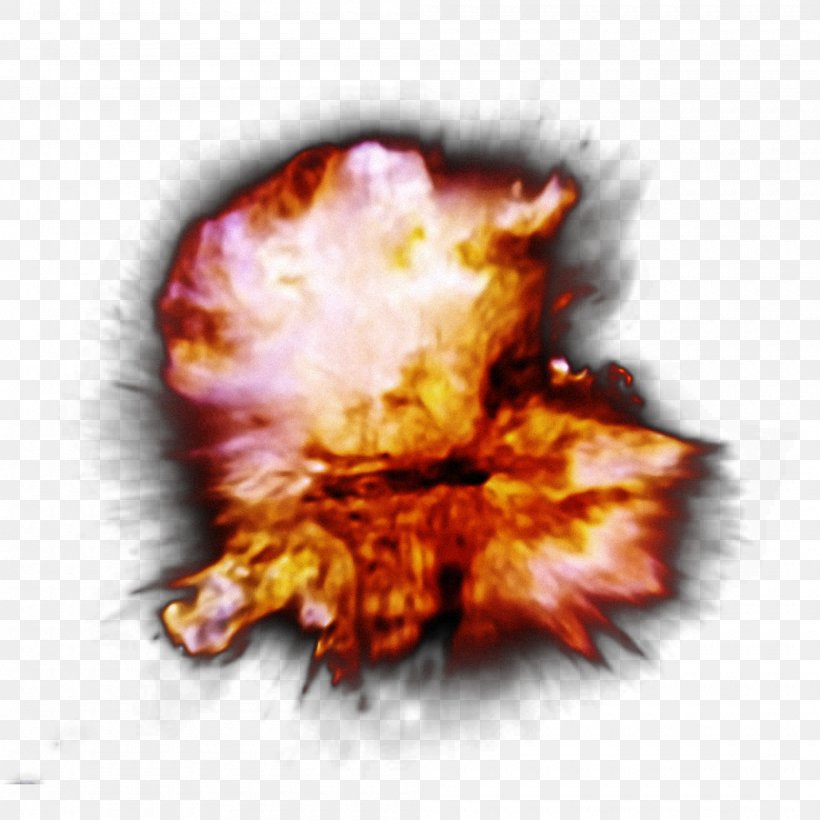 Explosion Image Graphics Fire Flame, PNG, 2000x2000px, Explosion, Drawing, Fire, Flame, Organism Download Free