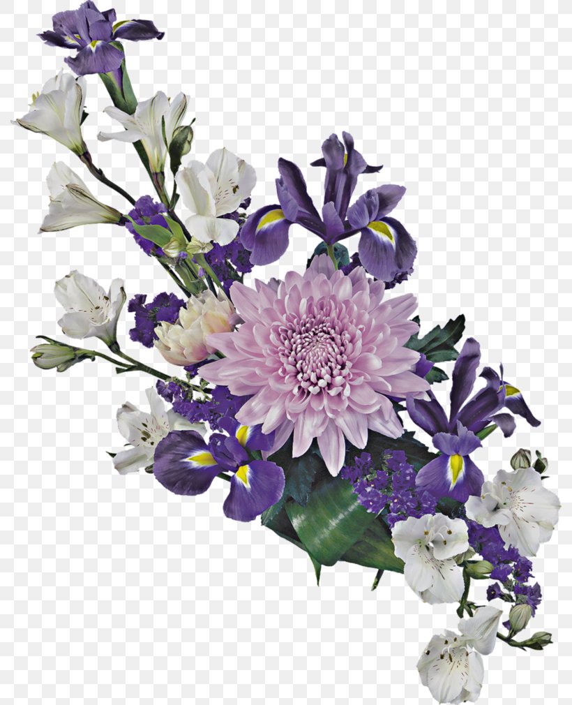 Flower Irises Clip Art, PNG, 790x1010px, Flower, Artificial Flower, Chrysanths, Cut Flowers, Drawing Download Free