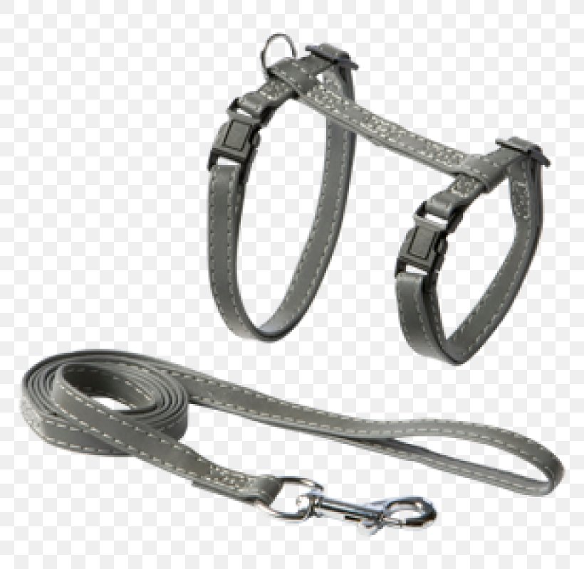 Leash Dog Collar Silver, PNG, 800x800px, Leash, Collar, Dog, Dog Collar, Fashion Accessory Download Free
