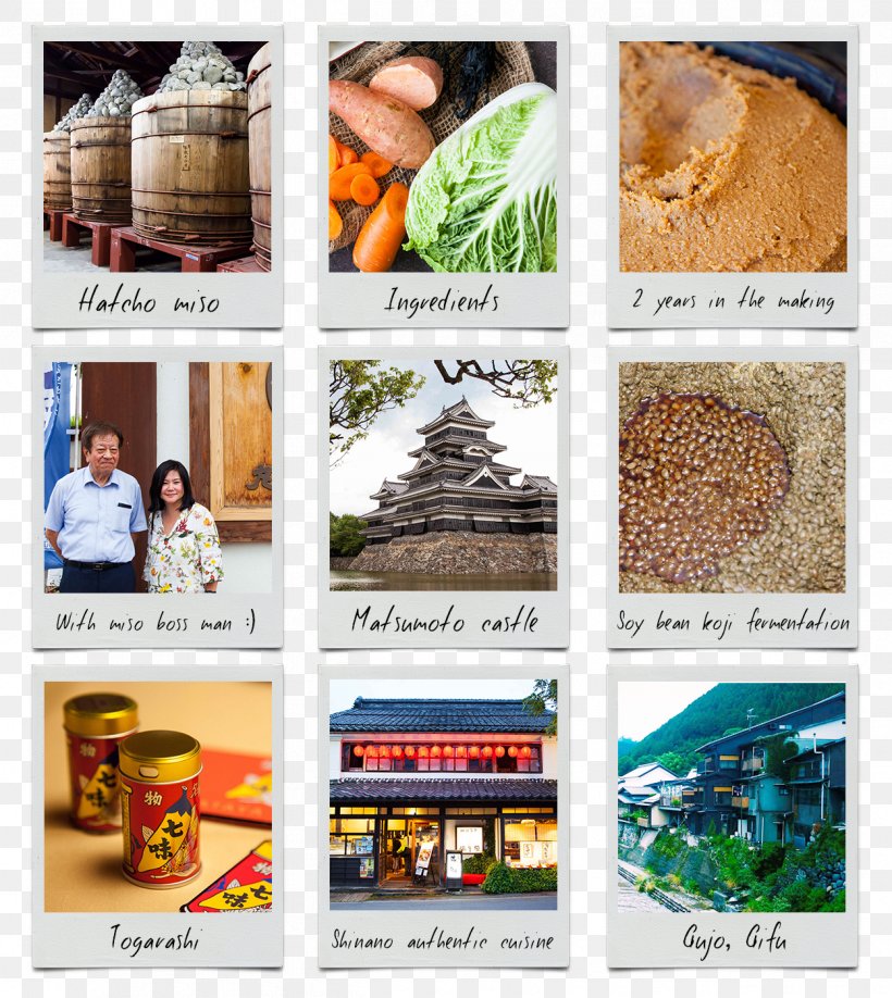 Matsumoto Advertising Brand Castle Brochure, PNG, 1250x1400px, Matsumoto, Advertising, Brand, Brochure, Castle Download Free
