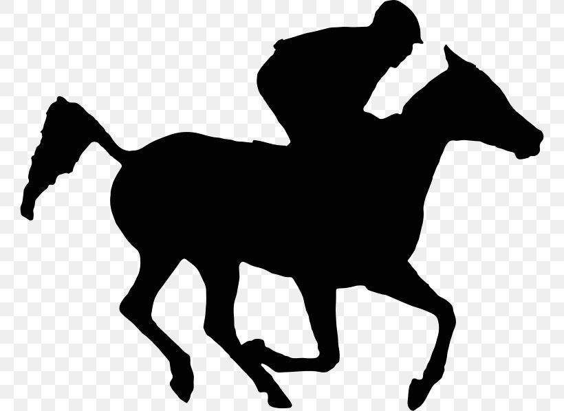 Thoroughbred Horse Racing Arabian Horse Thoroughbred Horse Racing Equestrian, PNG, 762x598px, Thoroughbred, Arabian Horse, Black, Black And White, Bridle Download Free