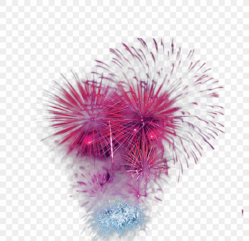 Adobe Fireworks Festival, PNG, 1274x1238px, Adobe Fireworks, Designer, Festival, Fireworks, Flower Download Free